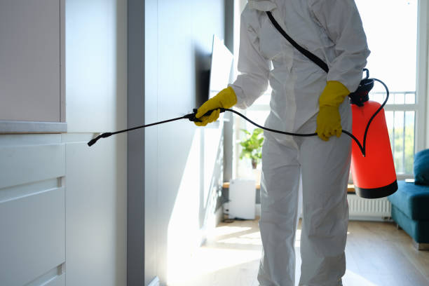 Best Emergency Mold Removal  in Dundee, NY